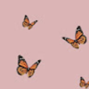 Meet your Posher, Nevaeh